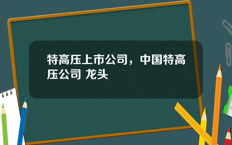 特高压上市公司，中国特高压公司 龙头